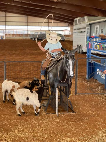 Andrews, Texas